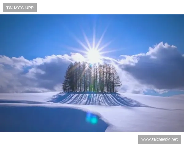 冬日湖畔的静谧之美:冰雪与宁静交织的诗意画卷 冬日湖畔的静谧之美:冰雪与宁静交织的诗意画卷