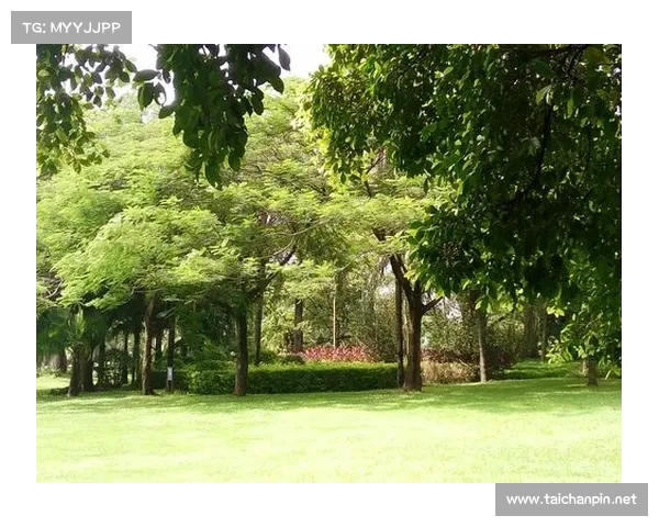 德国足球换血战略揭秘 如何打造世界级强队的成功之道 德国足球换血战略揭秘 如何打造世界级强队的成功之道