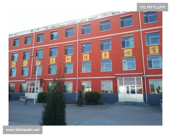 奥利塞与法国队四国血统成就的辉煌征程与历史影响 奥利塞与法国队四国血统成就的辉煌征程与历史影响